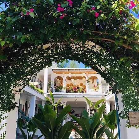 Coto Island Beach Village Homestay Dao Co To Kültér fotó